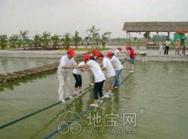 训练自我拓展知识