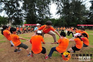 苏州行知拓展训练 为大学生团队赋能